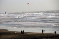 Kite surfing in the San Francisco bay. © Philip Plisson / Plisson La Trinité / AA11151 - Photo Galleries - Wave