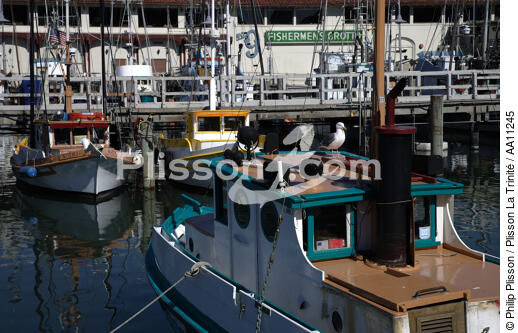 Dans le port de San Francisco. - © Philip Plisson / Plisson La Trinité / AA11245 - Nos reportages photos - Mouette