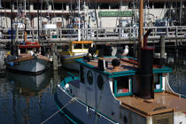 In the port of San Francisco. © Philip Plisson / Plisson La Trinité / AA11245 - Photo Galleries - United States [The]