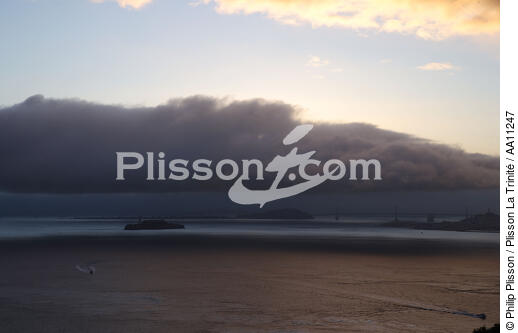 Alcatraz. - © Philip Plisson / Plisson La Trinité / AA11247 - Photo Galleries - Cloud