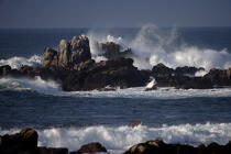 Monterey in California. © Philip Plisson / Plisson La Trinité / AA11296 - Photo Galleries - California