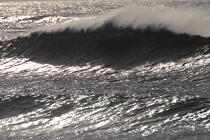 Wave in Monterey, California. © Philip Plisson / Plisson La Trinité / AA11298 - Photo Galleries - California