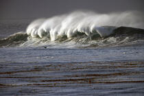 Wave in Monterey, California. © Philip Plisson / Plisson La Trinité / AA11299 - Photo Galleries - California
