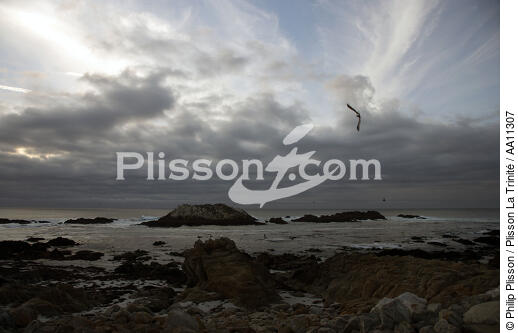 Landscape in Monterey. - © Philip Plisson / Plisson La Trinité / AA11307 - Photo Galleries - Town [California]