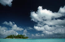 Rangiroa in Polynesia. © Philip Plisson / Plisson La Trinité / AA11350 - Photo Galleries - Sea floor