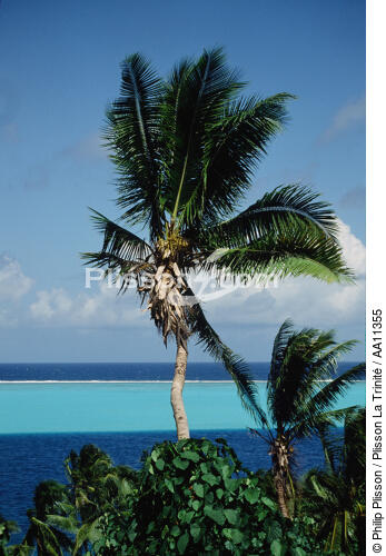 Tahiti. - © Philip Plisson / Plisson La Trinité / AA11355 - Photo Galleries - French Polynesia
