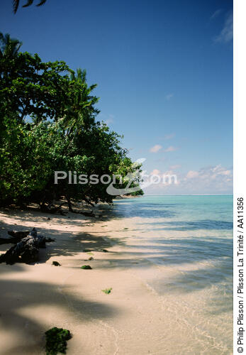 Tahiti. - © Philip Plisson / Plisson La Trinité / AA11356 - Nos reportages photos - Polynésie