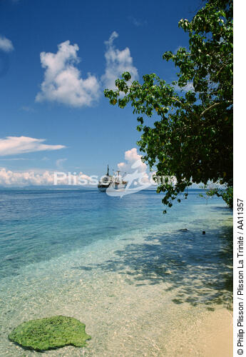 Tahiti. - © Philip Plisson / Plisson La Trinité / AA11357 - Photo Galleries - Island [Polynesia]