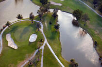 Golf in Miami. © Philip Plisson / Plisson La Trinité / AA11379 - Photo Galleries - Palm tree