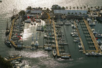 Port in Miami. © Philip Plisson / Plisson La Trinité / AA11380 - Photo Galleries - Pleasure and Cruising Monohulls