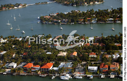 Miami. - © Philip Plisson / Plisson La Trinité / AA11383 - Nos reportages photos - Palmier