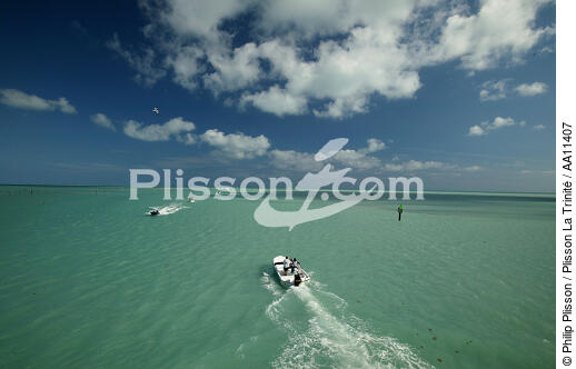 Keys Islands in Florida. - © Philip Plisson / Plisson La Trinité / AA11407 - Photo Galleries - Florida