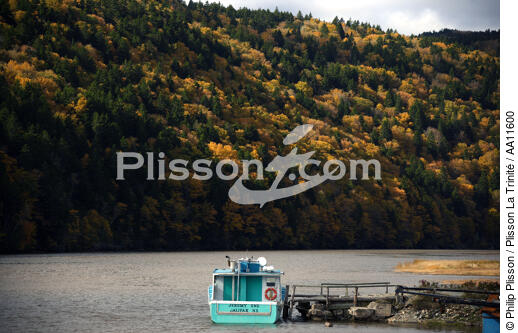 Baie de Fundy. - © Philip Plisson / Plisson La Trinité / AA11600 - Nos reportages photos - Canada