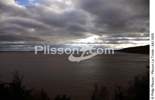 Baie de Fundy. - © Philip Plisson / Plisson La Trinité / AA11609 - Nos reportages photos - Site [Nouveau Brunswick]