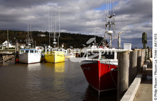 Port d' Alma. - © Philip Plisson / Plisson La Trinité / AA11615 - Nos reportages photos - Nouveau Brunswick