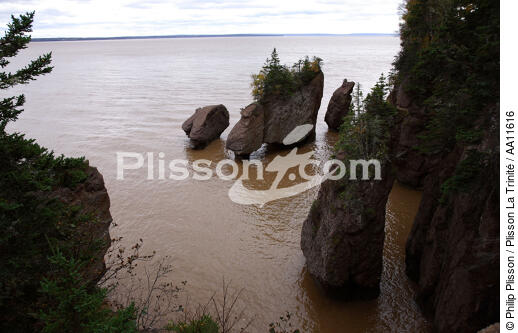 Baie de Fundy. - © Philip Plisson / Plisson La Trinité / AA11616 - Nos reportages photos - Nouveau Brunswick