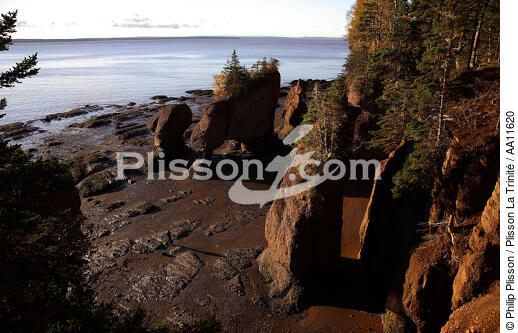Bay of Fundy. - © Philip Plisson / Plisson La Trinité / AA11620 - Photo Galleries - Rock