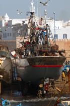 Bateau de pêche dans le port d'Essaouira. © Philip Plisson / Plisson La Trinité / AA11637 - Nos reportages photos - Ville
