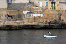 Malte. © Philip Plisson / Plisson La Trinité / AA11694 - Nos reportages photos - Les couleurs de Malte