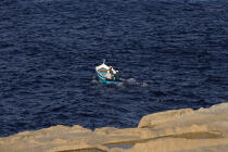 Gozo island. © Philip Plisson / Plisson La Trinité / AA11733 - Photo Galleries - Colours of Malta