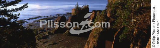 Baie de Fundy. - © Philip Plisson / Plisson La Trinité / AA11757 - Nos reportages photos - Flore