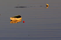 River of Crac' h. © Philip Plisson / Plisson La Trinité / AA11783 - Photo Galleries - Small boat