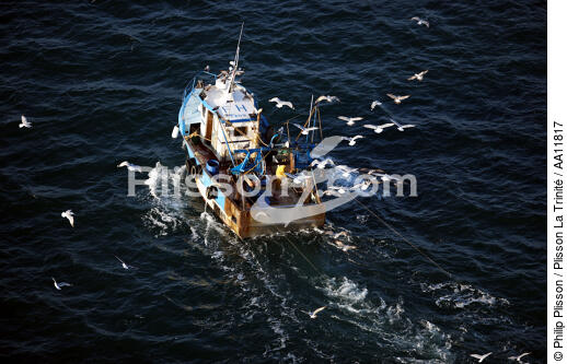 Fishing in the Bay of Quiberon. - © Philip Plisson / Plisson La Trinité / AA11817 - Photo Galleries - Gull [small]