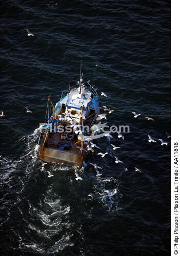 Fishing in the Bay of Quiberon. - © Philip Plisson / Plisson La Trinité / AA11818 - Photo Galleries - Gull [small]