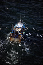 Pêche en Baie de Quiberon. © Philip Plisson / Plisson La Trinité / AA11818 - Nos reportages photos - Mer calme