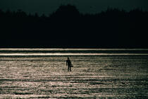 Fishing on foot. © Philip Plisson / Plisson La Trinité / AA11827 - Photo Galleries - Dusk