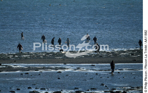 Pêche à pied en Baie de Quiberon. - © Philip Plisson / Plisson La Trinité / AA11882 - Nos reportages photos - Marée basse