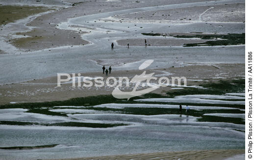 Fishing on foot for shellfish at low tide. - © Philip Plisson / Plisson La Trinité / AA11886 - Photo Galleries - Low tide