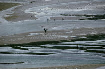 Pêche à pied. © Philip Plisson / Plisson La Trinité / AA11886 - Nos reportages photos - Marée basse