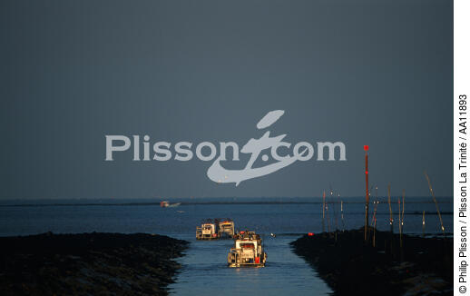 Oyster farming in Vendée. - © Philip Plisson / Plisson La Trinité / AA11893 - Photo Galleries - Lighter used by oyster farmers