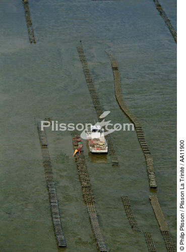 Oyster farming. - © Philip Plisson / Plisson La Trinité / AA11900 - Photo Galleries - Lighter used by oyster farmers