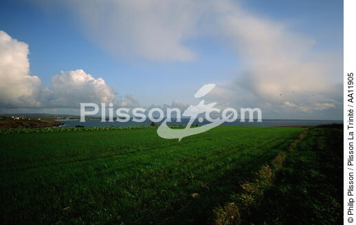 The Pointe du Raz. - © Philip Plisson / Plisson La Trinité / AA11905 - Photo Galleries - Good weather