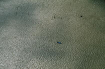 Low tide. © Philip Plisson / Plisson La Trinité / AA11946 - Photo Galleries - Mudbank