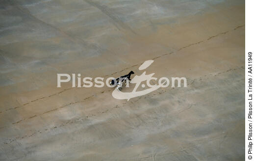 Promenade à cheval sur la plage. - © Philip Plisson / Plisson La Trinité / AA11949 - Nos reportages photos - Cheval