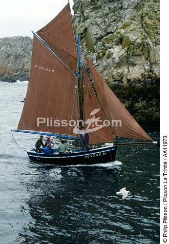 Voilier sur les côtes brestoises. - © Philip Plisson / Plisson La Trinité / AA11973 - Nos reportages photos - Marin