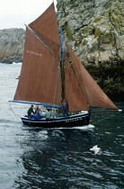 Sailing boat on the coasts of Brest. © Philip Plisson / Plisson La Trinité / AA11973 - Photo Galleries - Sailor