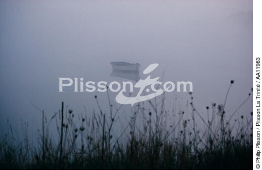 Barque dans la brume dans le Golfe du Morbihan. - © Philip Plisson / Plisson La Trinité / AA11983 - Nos reportages photos - Plante