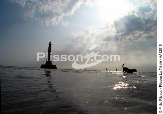 Dog in front of the lighthouse of Cordouan. - © Philip Plisson / Plisson La Trinité / AA12015 - Photo Galleries - Low tide