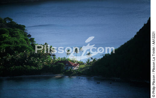  - © Philip Plisson / Plisson La Trinité / AA12221 - Photo Galleries - Guadeloupe [The]