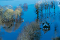 Flood near Redon. © Philip Plisson / Plisson La Trinité / AA12228 - Photo Galleries - Ille-et-Vilaine
