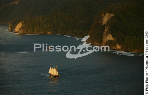  - © Philip Plisson / Plisson La Trinité / AA12249 - Photo Galleries - Tall ships