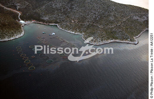 Pollution close to a aquacole farm. - © Philip Plisson / Plisson La Trinité / AA12251 - Photo Galleries - Fish farming