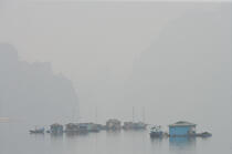 Floating houses in bay of Along. © Philip Plisson / Plisson La Trinité / AA12277 - Photo Galleries - Along Bay, Vietnam