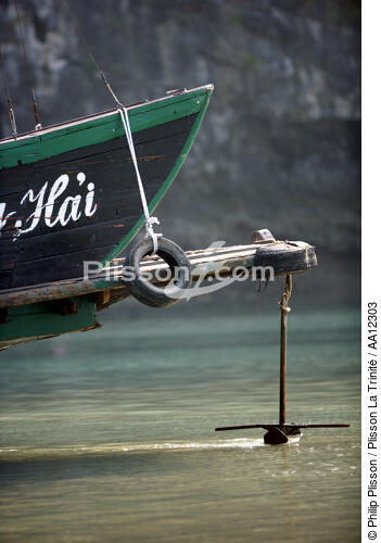 Cliffs in Along bay. - © Philip Plisson / Plisson La Trinité / AA12303 - Photo Galleries - Along Bay, Vietnam