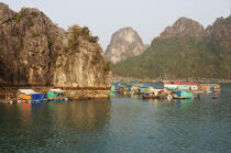 Vietnamese village of fishermen. © Philip Plisson / Plisson La Trinité / AA12372 - Photo Galleries - Ha Long Bay