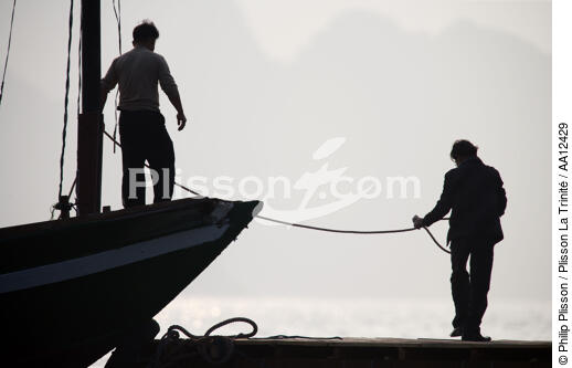 Amarrage d'une jonque dans la baie d'Along - © Philip Plisson / Plisson La Trinité / AA12429 - Nos reportages photos - Site [Vietnam]